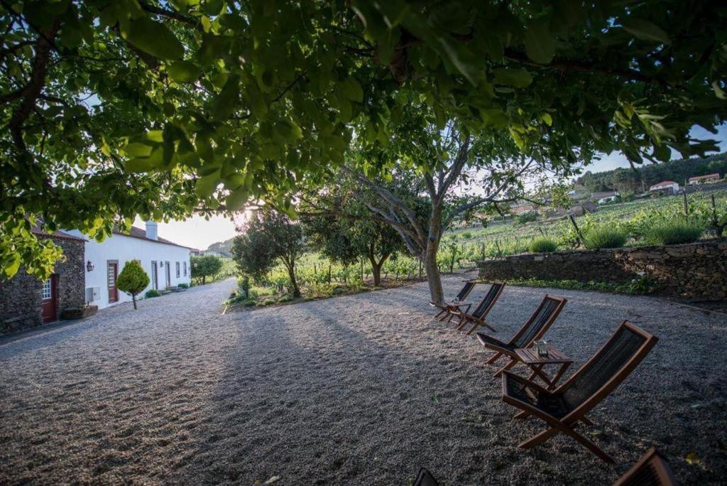핀하오 Morgadio Da Calcada Douro Wine&Tourism 게스트하우스 외부 사진