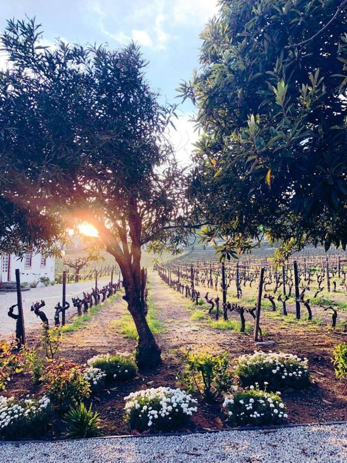 핀하오 Morgadio Da Calcada Douro Wine&Tourism 게스트하우스 외부 사진