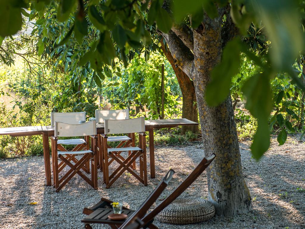 핀하오 Morgadio Da Calcada Douro Wine&Tourism 게스트하우스 외부 사진